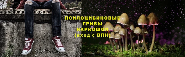 первитин Ладушкин