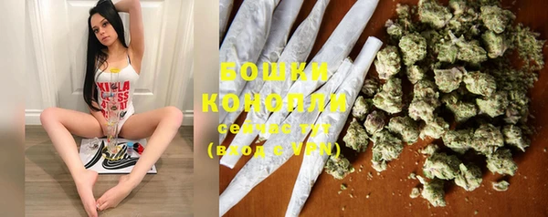 дживик Лабытнанги