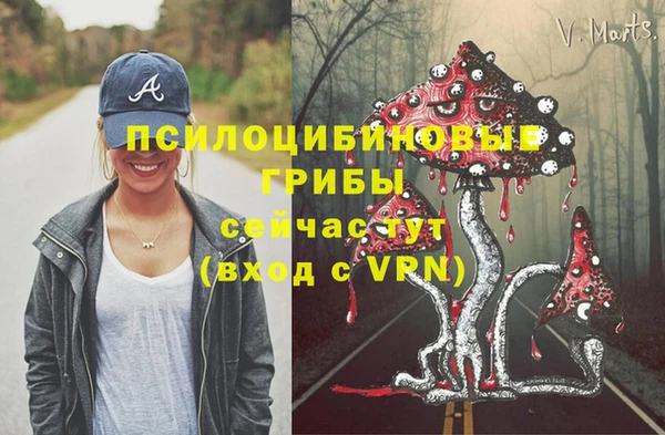 не бодяженный Бердск
