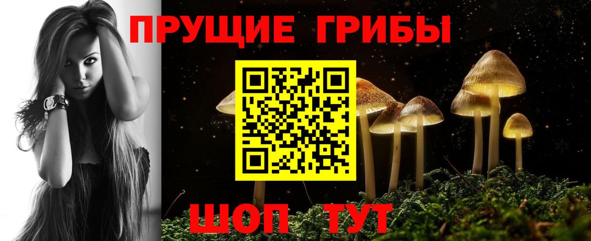 Галлюциногенные грибы мухоморы  купить наркотик  Пенза  Вход с VPN 